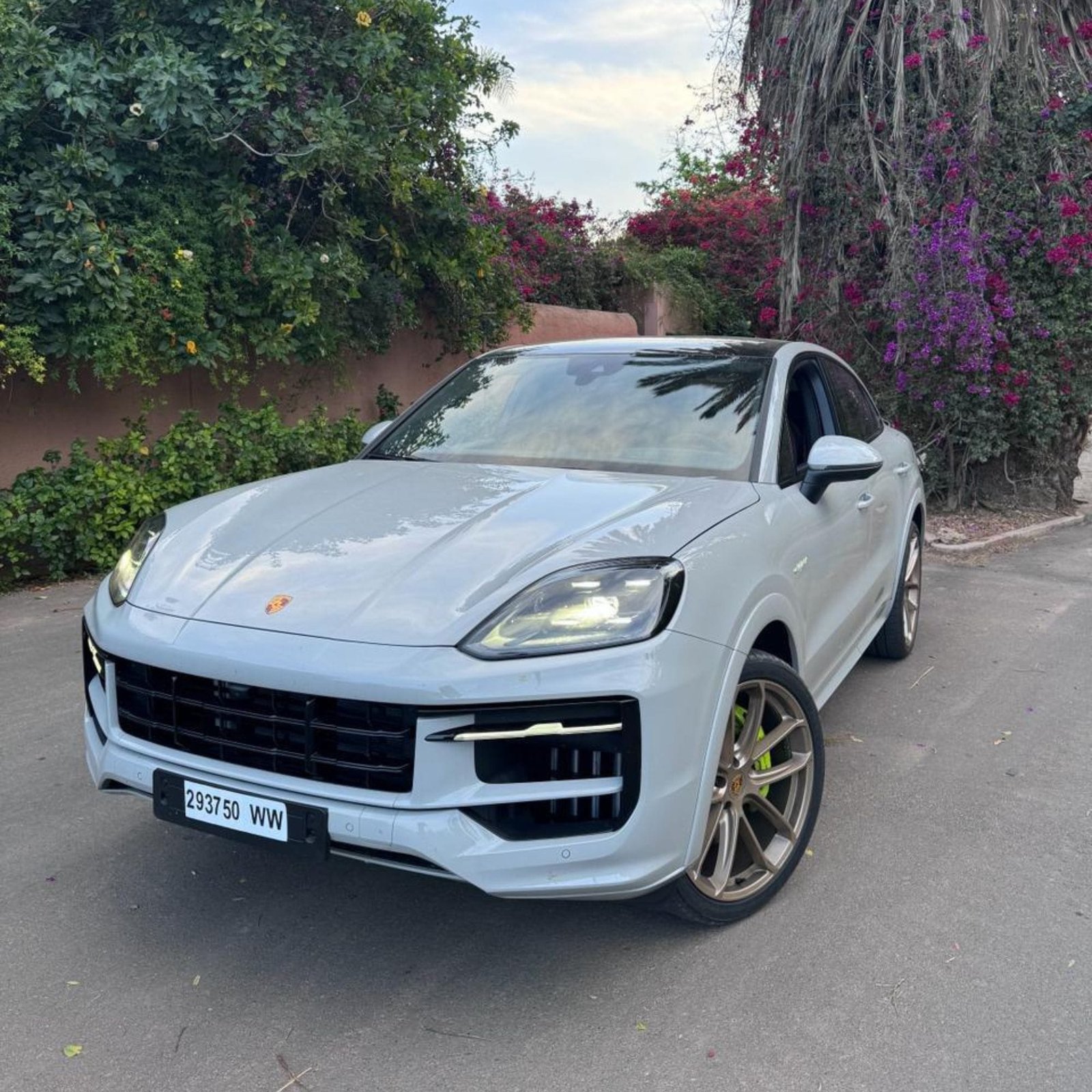 Porsche Cayenne E-HYBRID (3)